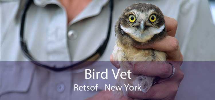 Bird Vet Retsof - New York
