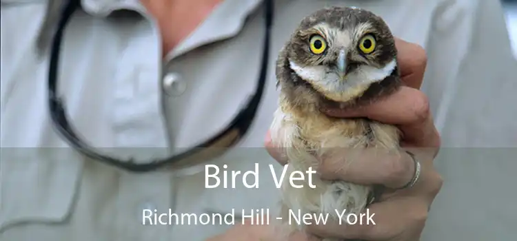 Bird Vet Richmond Hill - New York