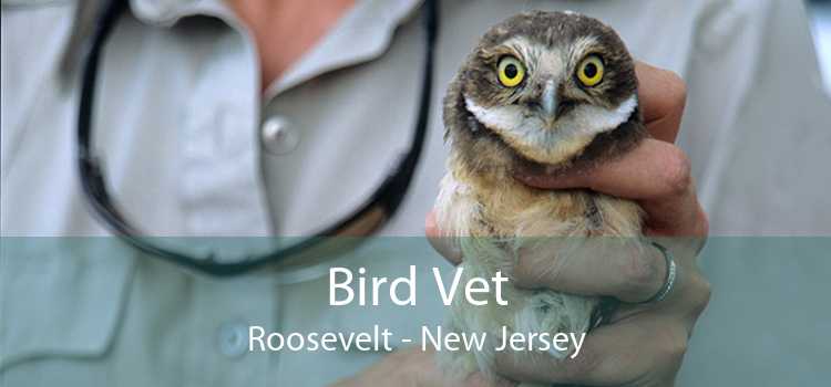 Bird Vet Roosevelt - New Jersey