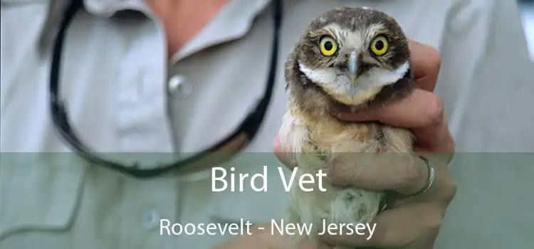 Bird Vet Roosevelt - New Jersey