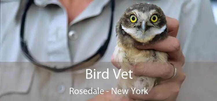 Bird Vet Rosedale - New York