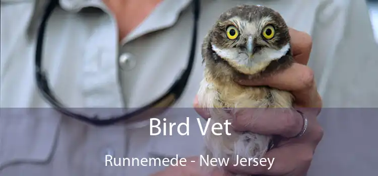 Bird Vet Runnemede - New Jersey