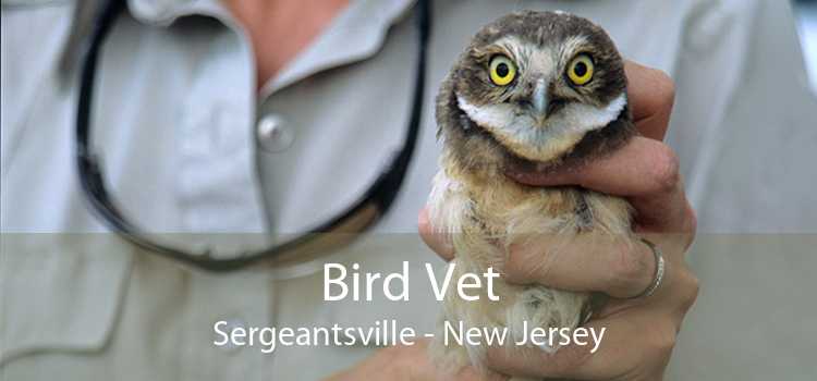 Bird Vet Sergeantsville - New Jersey