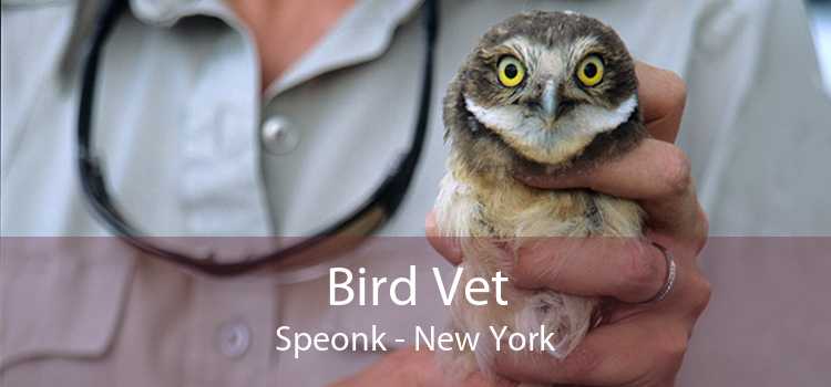 Bird Vet Speonk - New York