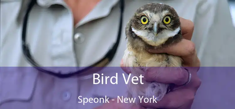 Bird Vet Speonk - New York