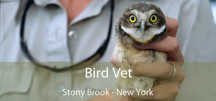 Bird Vet Stony Brook - New York