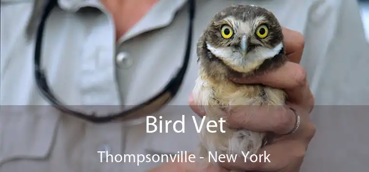 Bird Vet Thompsonville - New York
