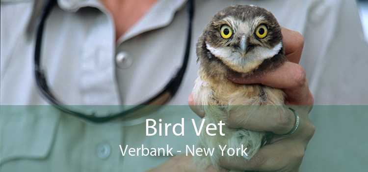 Bird Vet Verbank - New York
