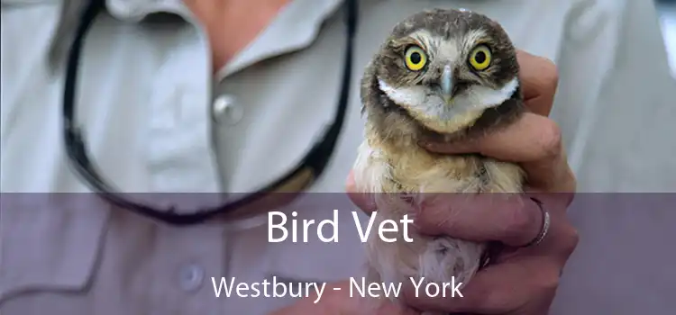 Bird Vet Westbury - New York