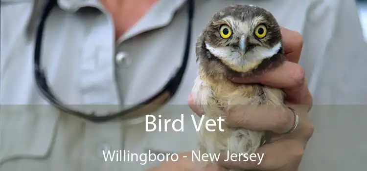 Bird Vet Willingboro - New Jersey