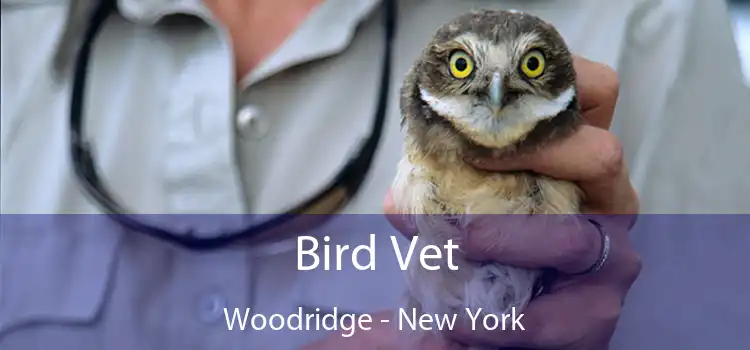 Bird Vet Woodridge - New York