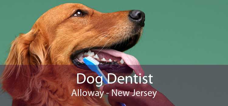 Dog Dentist Alloway - New Jersey