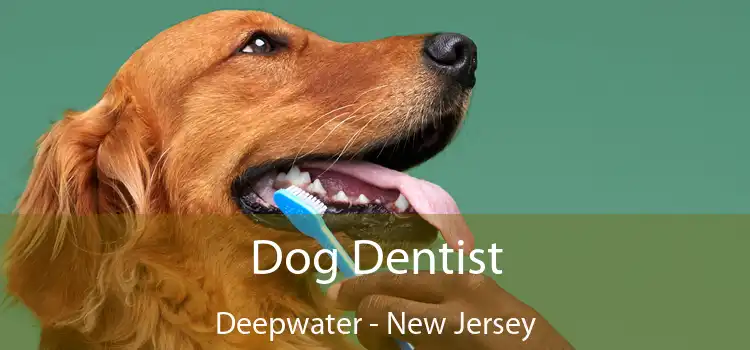 Dog Dentist Deepwater - New Jersey
