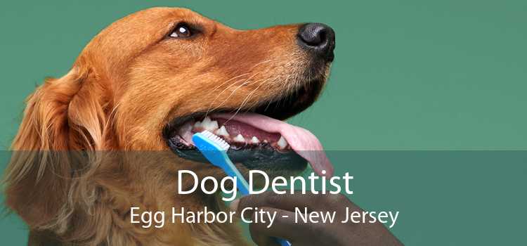 Dog Dentist Egg Harbor City - New Jersey