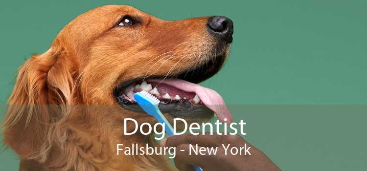 Dog Dentist Fallsburg - New York