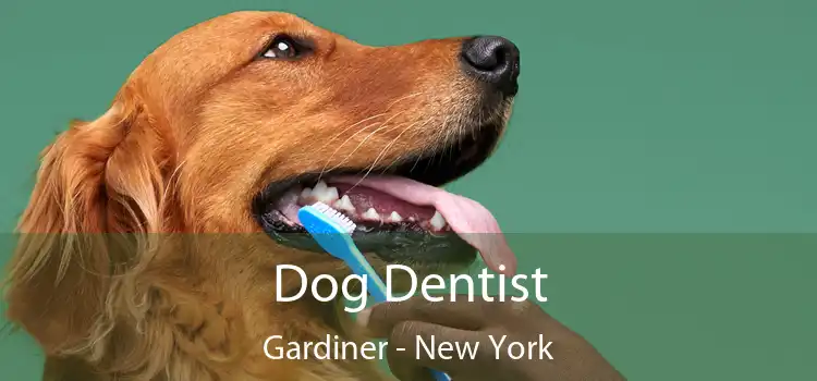 Dog Dentist Gardiner - New York