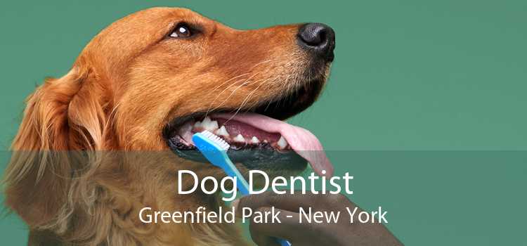 Dog Dentist Greenfield Park - New York