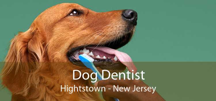 Dog Dentist Hightstown - New Jersey