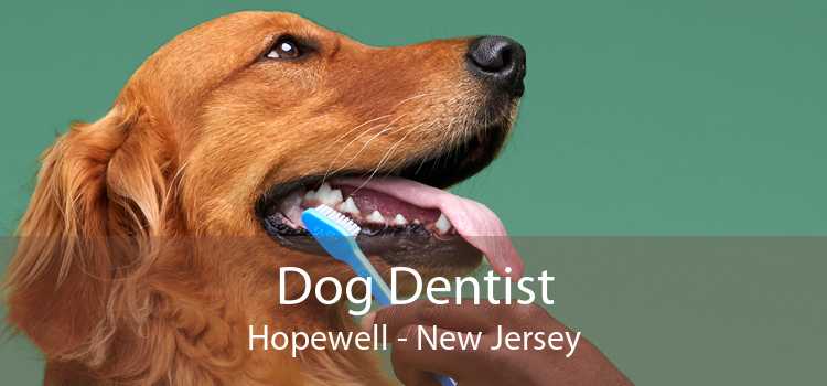 Dog Dentist Hopewell - New Jersey
