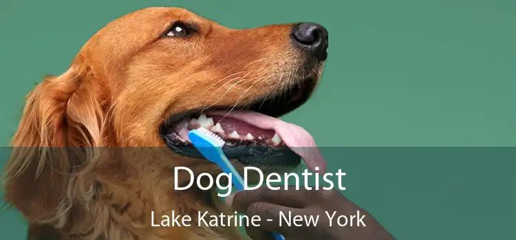 Dog Dentist Lake Katrine - New York