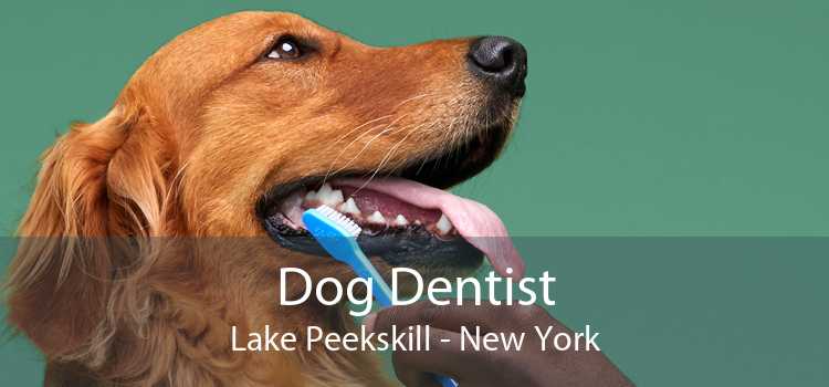 Dog Dentist Lake Peekskill - New York