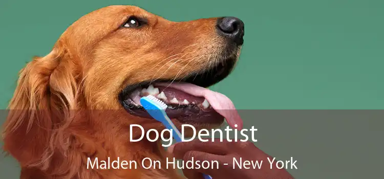 Dog Dentist Malden On Hudson - New York
