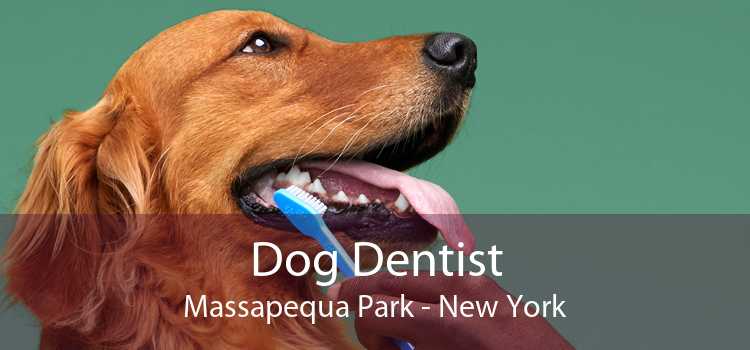 Dog Dentist Massapequa Park - New York