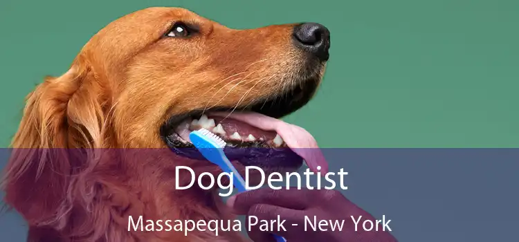 Dog Dentist Massapequa Park - New York
