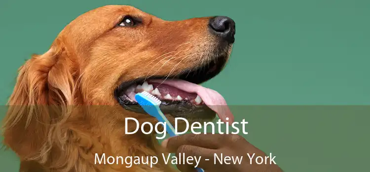 Dog Dentist Mongaup Valley - New York
