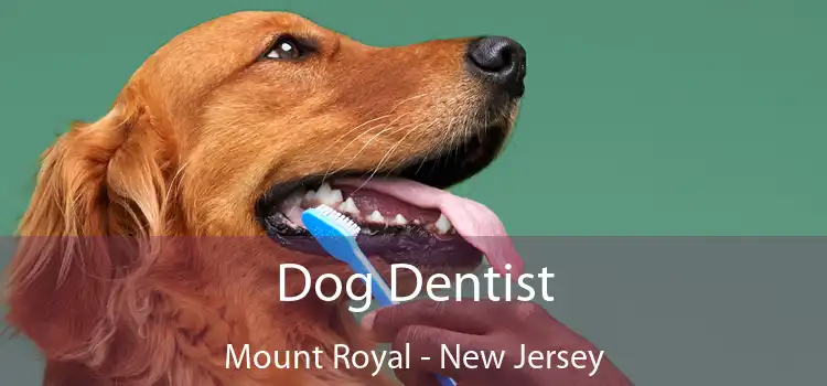 Dog Dentist Mount Royal - New Jersey