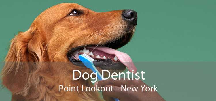 Dog Dentist Point Lookout - New York