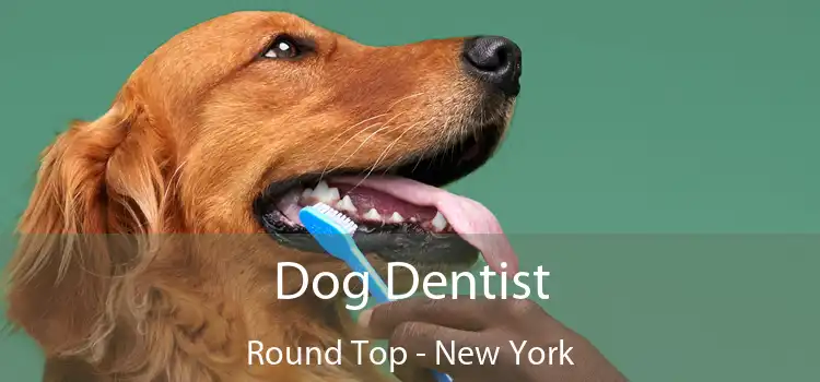 Dog Dentist Round Top - New York
