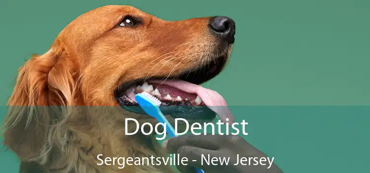 Dog Dentist Sergeantsville - New Jersey