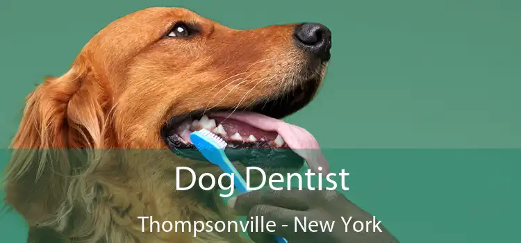 Dog Dentist Thompsonville - New York