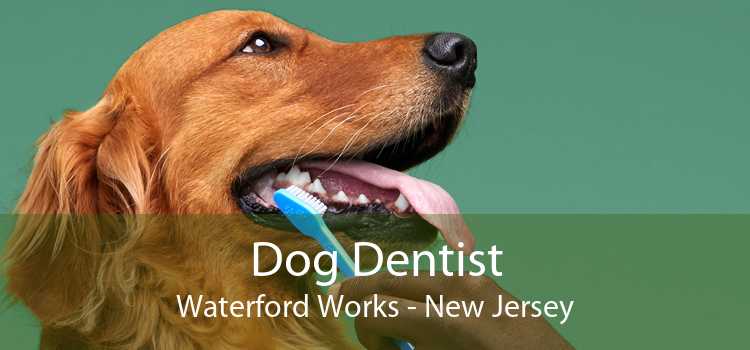 Dog Dentist Waterford Works - New Jersey