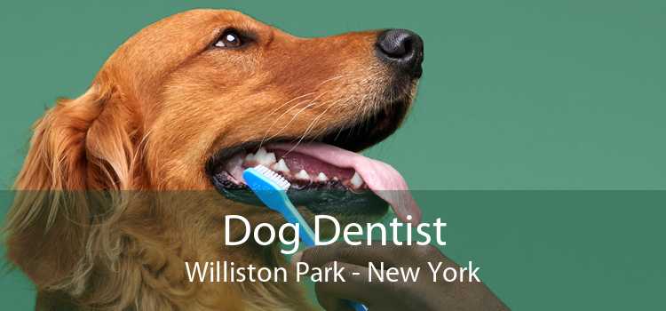 Dog Dentist Williston Park - New York