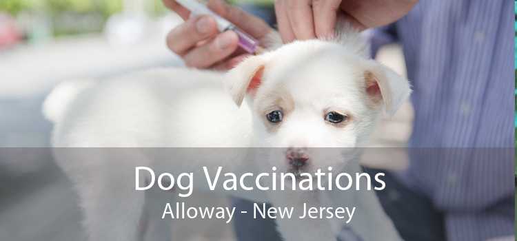 Dog Vaccinations Alloway - New Jersey