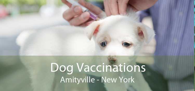 Dog Vaccinations Amityville - New York