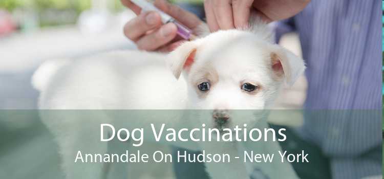 Dog Vaccinations Annandale On Hudson - New York