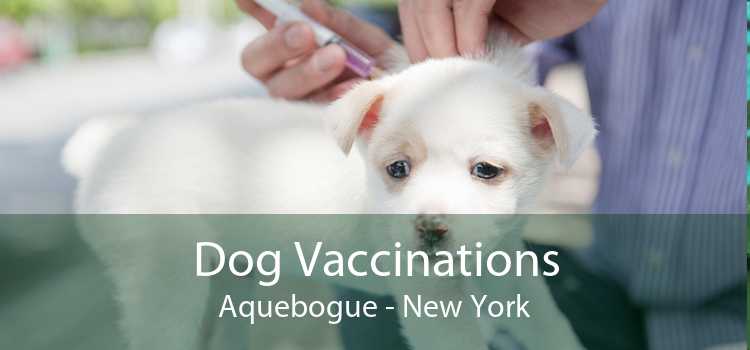 Dog Vaccinations Aquebogue - New York
