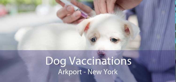 Dog Vaccinations Arkport - New York