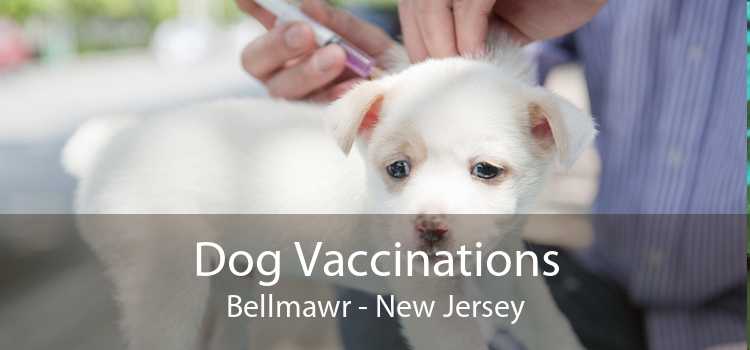 Dog Vaccinations Bellmawr - New Jersey