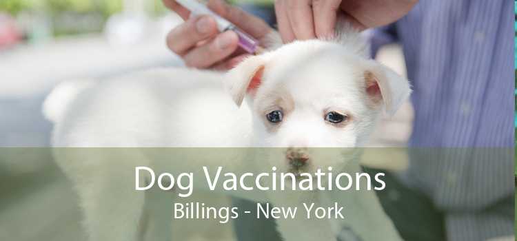 Dog Vaccinations Billings - New York