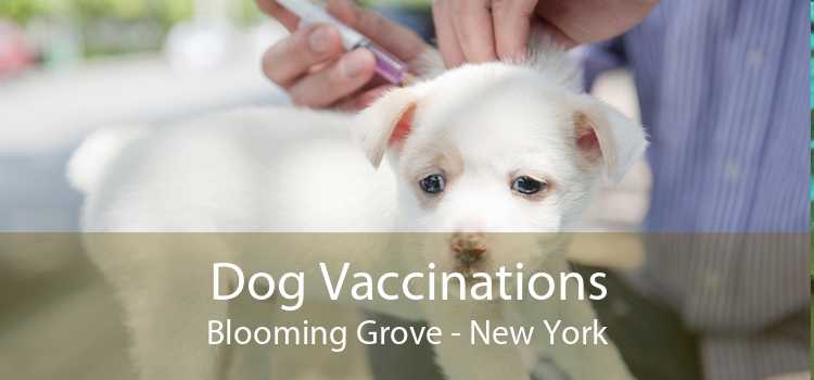Dog Vaccinations Blooming Grove - New York