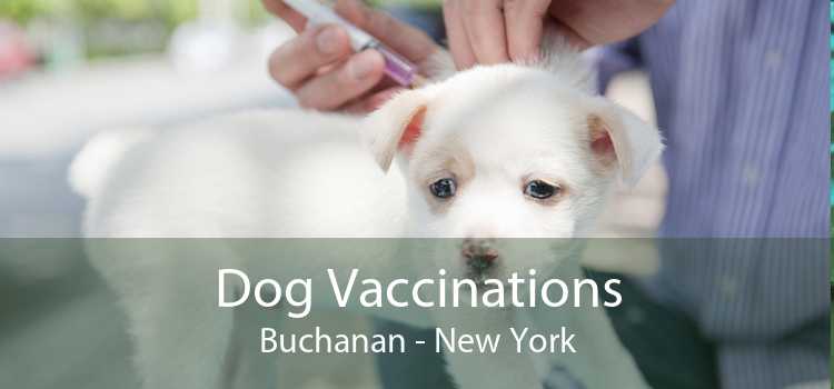 Dog Vaccinations Buchanan - New York