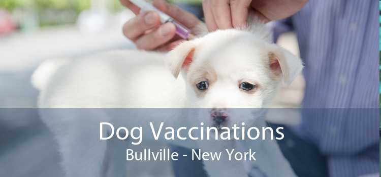 Dog Vaccinations Bullville - New York
