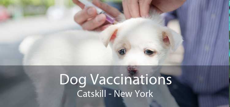 Dog Vaccinations Catskill - New York