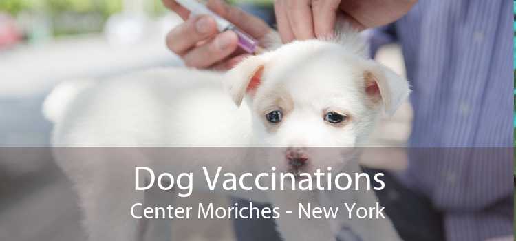 Dog Vaccinations Center Moriches - New York