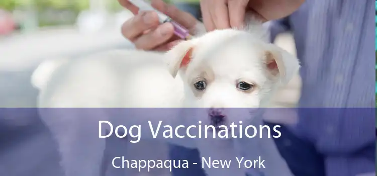 Dog Vaccinations Chappaqua - New York