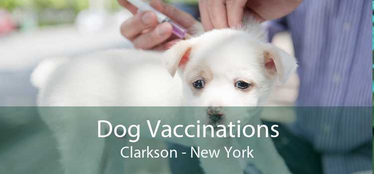 Dog Vaccinations Clarkson - New York